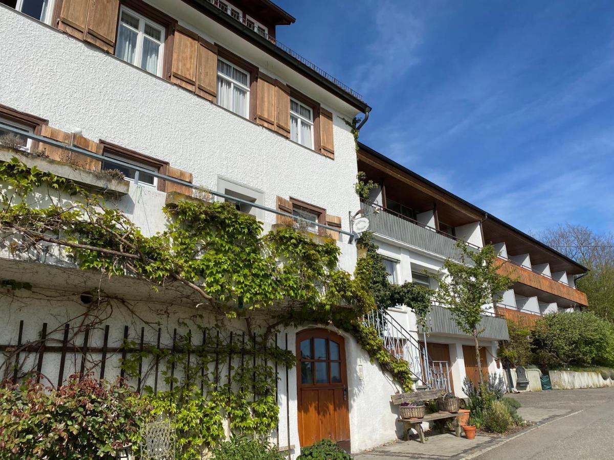 Hotel Landhaus Sternen سيبلينغين المظهر الخارجي الصورة