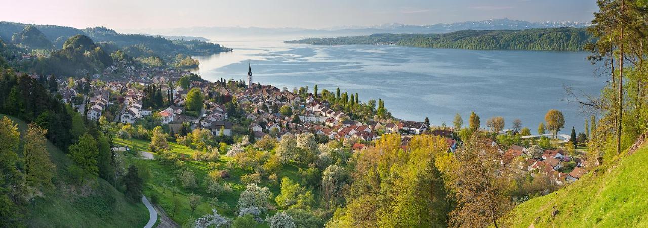 Hotel Landhaus Sternen سيبلينغين المظهر الخارجي الصورة